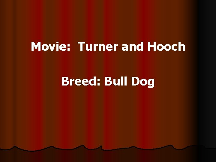 Movie: Turner and Hooch Breed: Bull Dog 