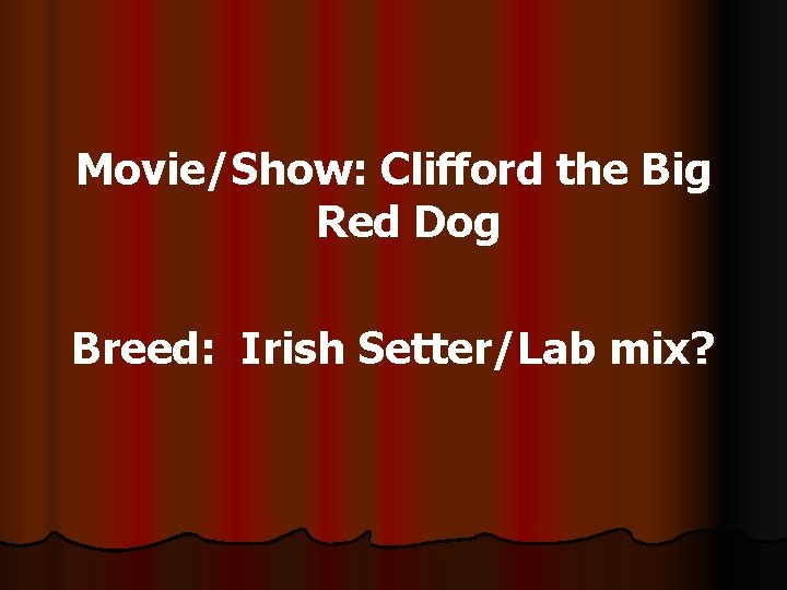 Movie/Show: Clifford the Big Red Dog Breed: Irish Setter/Lab mix? 