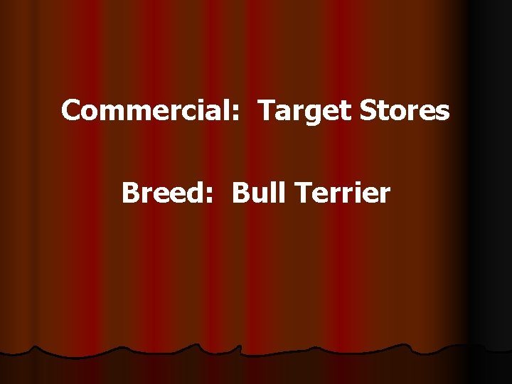 Commercial: Target Stores Breed: Bull Terrier 