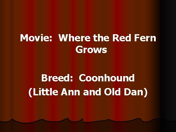 Movie: Where the Red Fern Grows Breed: Coonhound (Little Ann and Old Dan) 