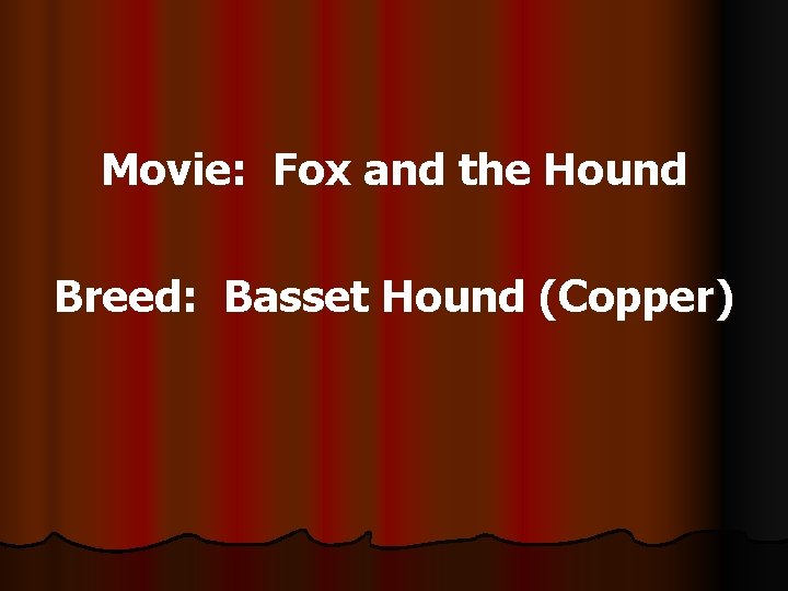 Movie: Fox and the Hound Breed: Basset Hound (Copper) 