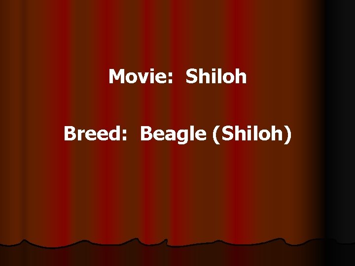 Movie: Shiloh Breed: Beagle (Shiloh) 