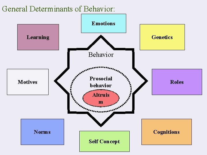 General Determinants of Behavior: Emotions Learning Genetics Behavior Motives Prosocial behavior Roles Altruis m