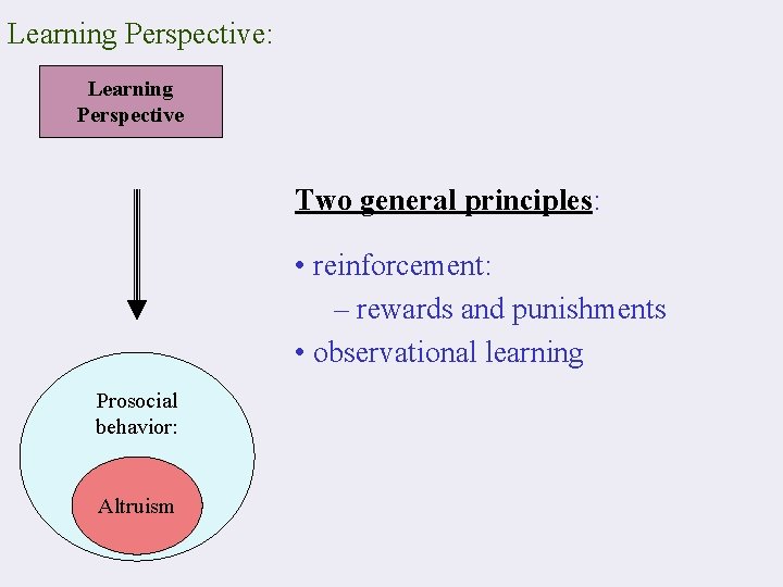 Learning Perspective: Learning Perspective Two general principles: • reinforcement: – rewards and punishments •
