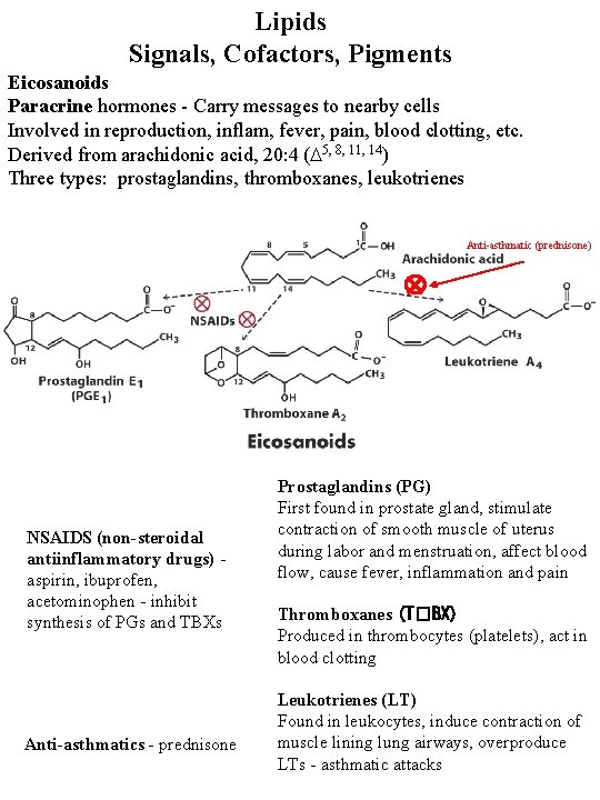 Lipids Signals, Cofactors, Pigments Eicosanoids Paracrine hormones - Carry messages to nearby cells Involved Lipids Signals, Cofactors, Pigments Eicosanoids Paracrine hormones - Carry messages to nearby cells Involved