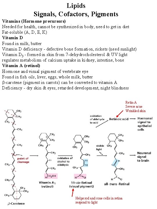 Lipids Signals, Cofactors, Pigments Vitamins (Hormone precursors) Needed for health, cannot be synthesized in Lipids Signals, Cofactors, Pigments Vitamins (Hormone precursors) Needed for health, cannot be synthesized in