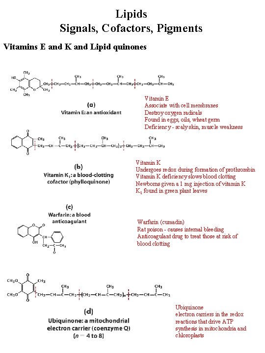 Lipids Signals, Cofactors, Pigments Vitamins E and K and Lipid quinones Vitamin E Associate Lipids Signals, Cofactors, Pigments Vitamins E and K and Lipid quinones Vitamin E Associate