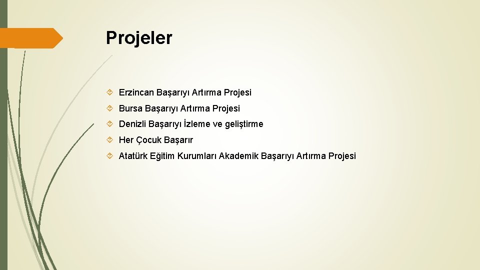 Projeler Erzincan Başarıyı Artırma Projesi Bursa Başarıyı Artırma Projesi Denizli Başarıyı İzleme ve geliştirme