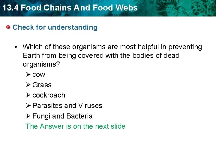 13. 4 Food Chains And Food Webs Check for understanding • Which of these