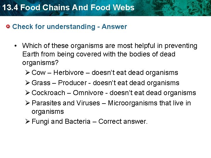 13. 4 Food Chains And Food Webs Check for understanding - Answer • Which