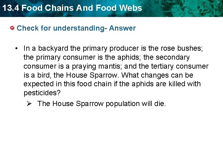 13. 4 Food Chains And Food Webs Check for understanding- Answer • In a