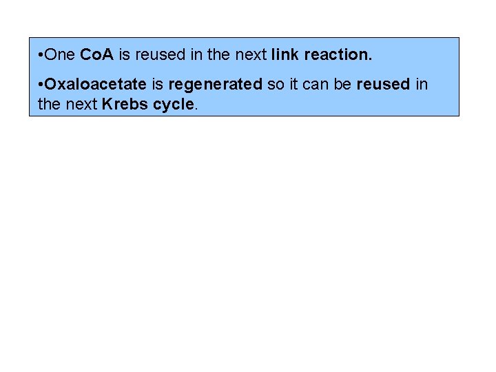  • One Co. A is reused in the next link reaction. • Oxaloacetate