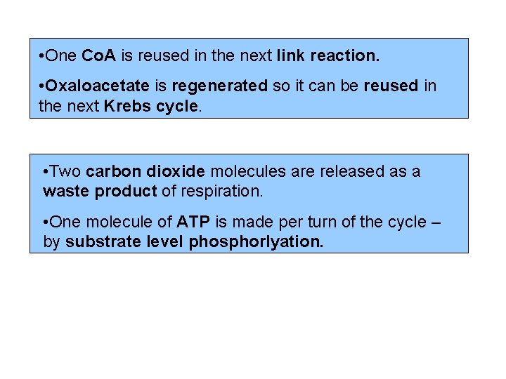  • One Co. A is reused in the next link reaction. • Oxaloacetate