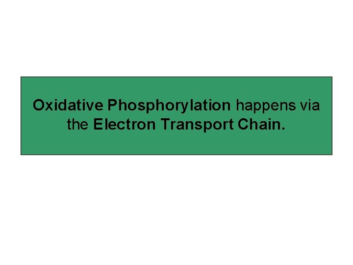 Oxidative Phosphorylation happens via the Electron Transport Chain. 