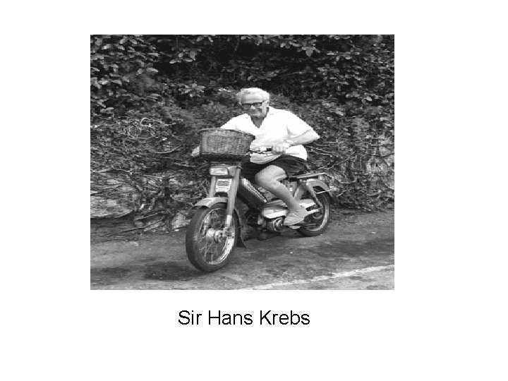 Sir Hans Krebs 