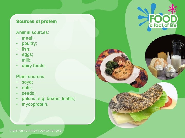Sources of protein Animal sources: • meat; • poultry; • fish; • eggs; •