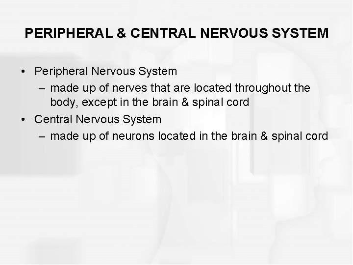 PERIPHERAL & CENTRAL NERVOUS SYSTEM • Peripheral Nervous System – made up of nerves