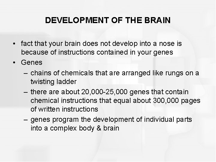 DEVELOPMENT OF THE BRAIN • fact that your brain does not develop into a