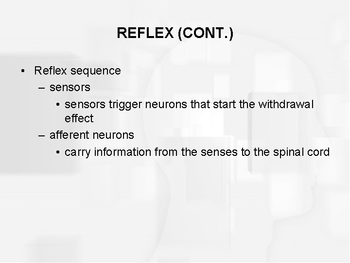 REFLEX (CONT. ) • Reflex sequence – sensors • sensors trigger neurons that start