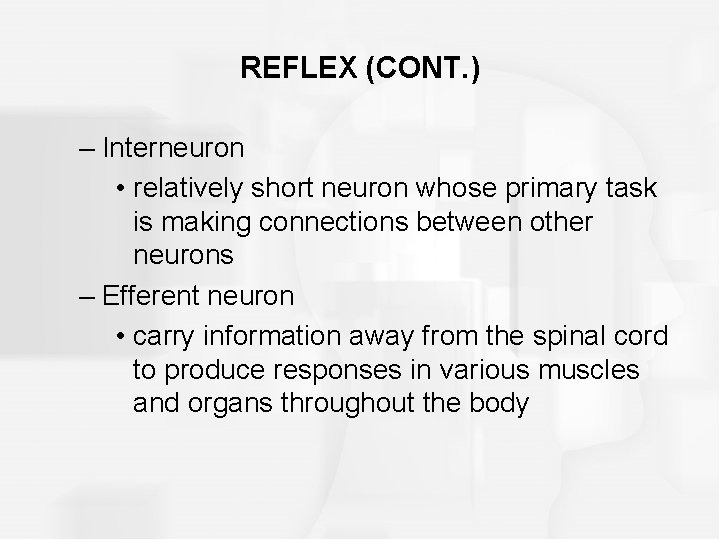REFLEX (CONT. ) – Interneuron • relatively short neuron whose primary task is making