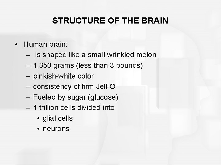 STRUCTURE OF THE BRAIN • Human brain: – is shaped like a small wrinkled