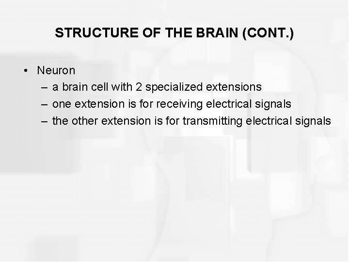 STRUCTURE OF THE BRAIN (CONT. ) • Neuron – a brain cell with 2