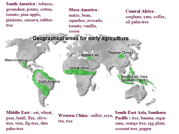 South America : tobacco, groundnut, potato, cotton, tomato, pine-apple, pimiento, cassava, rubbertree Middle East