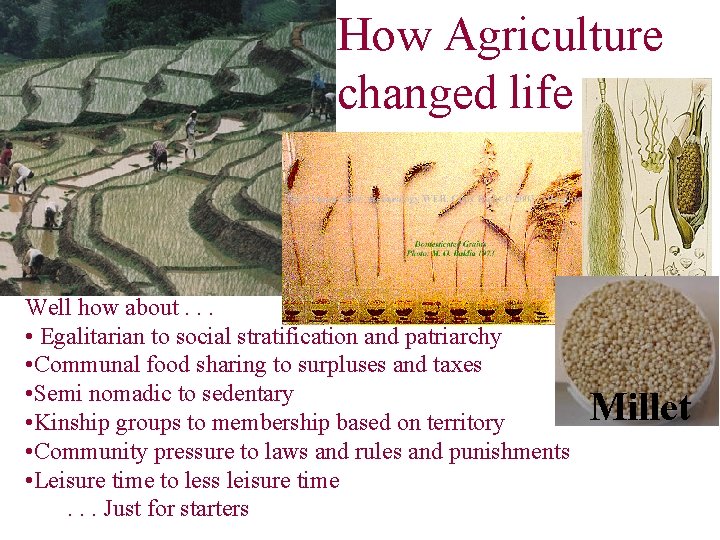 How Agriculture changed life Well how about. . . • Egalitarian to social stratification