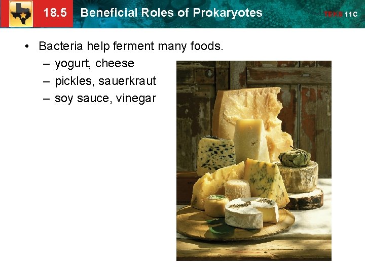 18. 5 Beneficial Roles of Prokaryotes • Bacteria help ferment many foods. – yogurt,