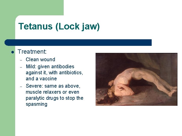 Tetanus (Lock jaw) l Treatment: – – – Clean wound Mild: given antibodies against