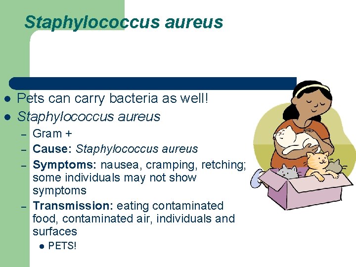 Staphylococcus aureus l l Pets can carry bacteria as well! Staphylococcus aureus – –