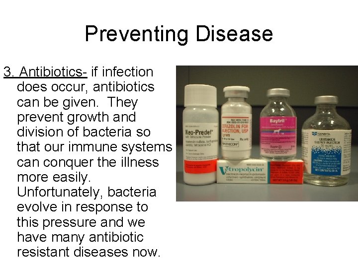 Preventing Disease 3. Antibiotics- if infection does occur, antibiotics can be given. They prevent