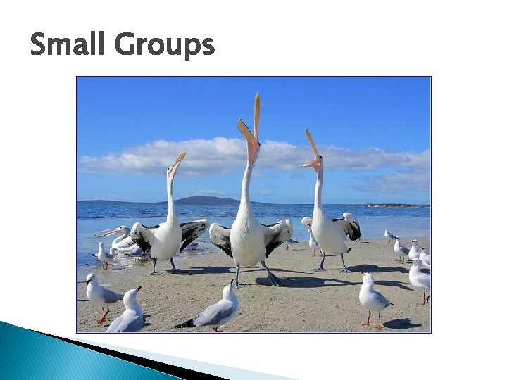 Small Groups 