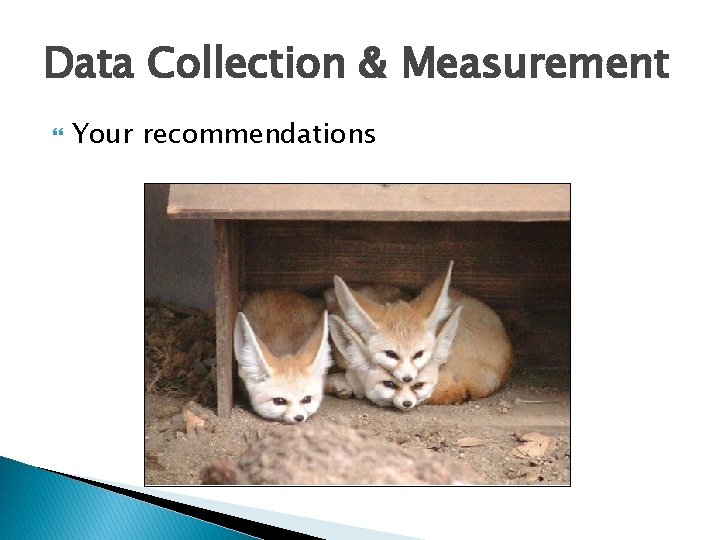 Data Collection & Measurement Your recommendations 
