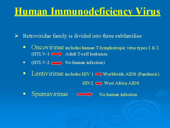 Human Immunodeficiency Virus Ø Retroviridae family is divided into three subfamilies: § Oncovirinae includes