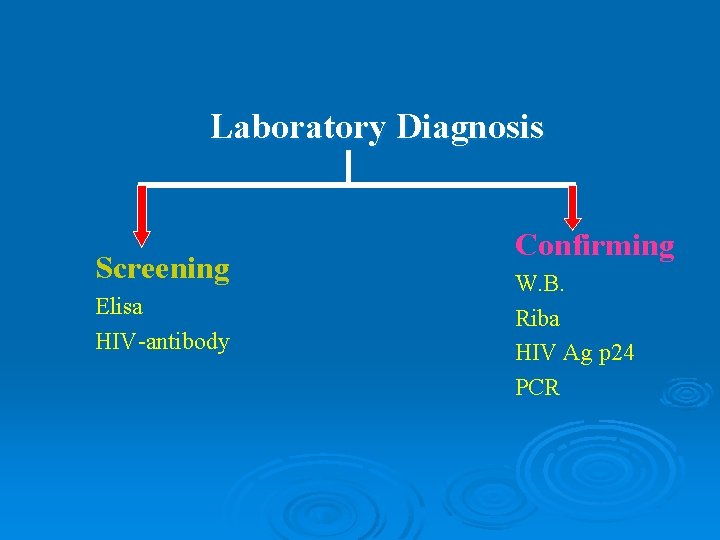 Laboratory Diagnosis Screening Elisa HIV-antibody Confirming W. B. Riba HIV Ag p 24 PCR