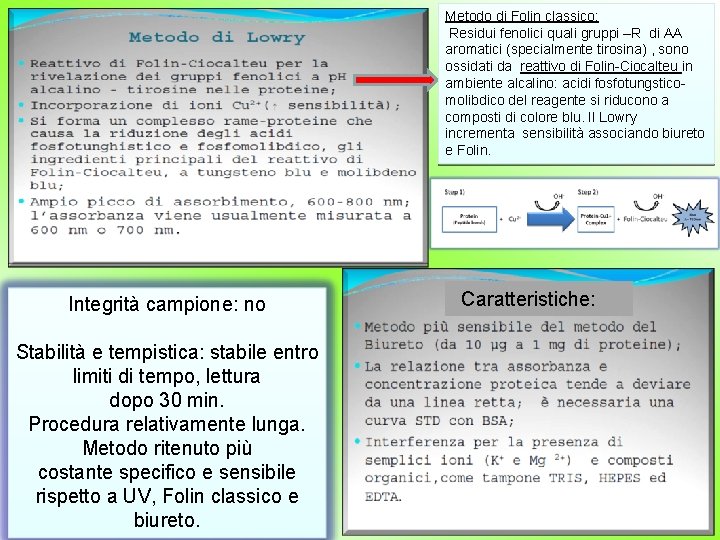 Metodo di Folin classico: Residui fenolici quali gruppi –R di AA aromatici (specialmente tirosina)