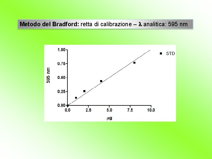 Metodo del Bradford: retta di calibrazione – l analitica: 595 nm 