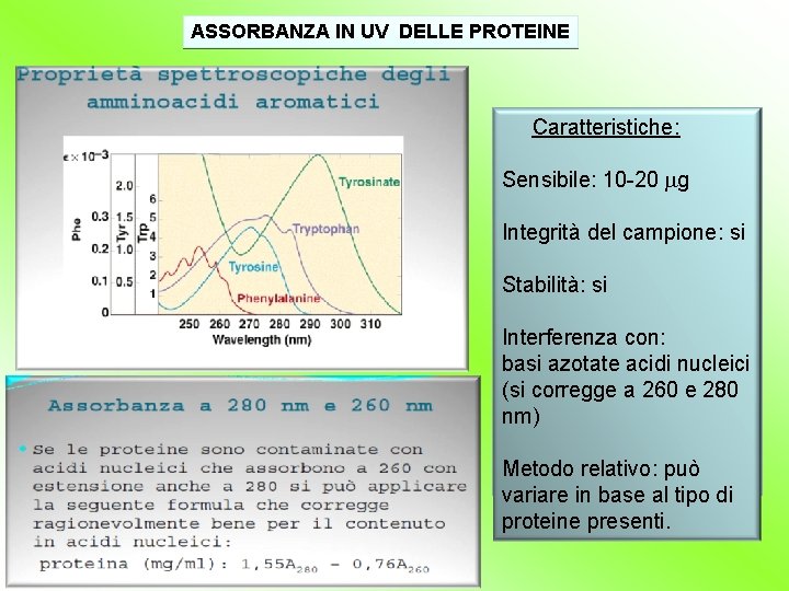 ASSORBANZA IN UV DELLE PROTEINE Caratteristiche: Sensibile: 10 -20 mg Integrità del campione: si