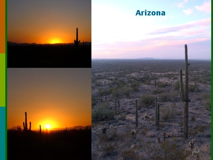 Arizona Biology: Ecology - Terrestrial Biomes 