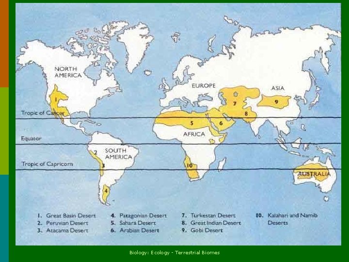 Biology: Ecology - Terrestrial Biomes 