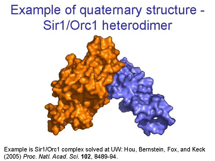 Example of quaternary structure Sir 1/Orc 1 heterodimer Example is Sir 1/Orc 1 complex