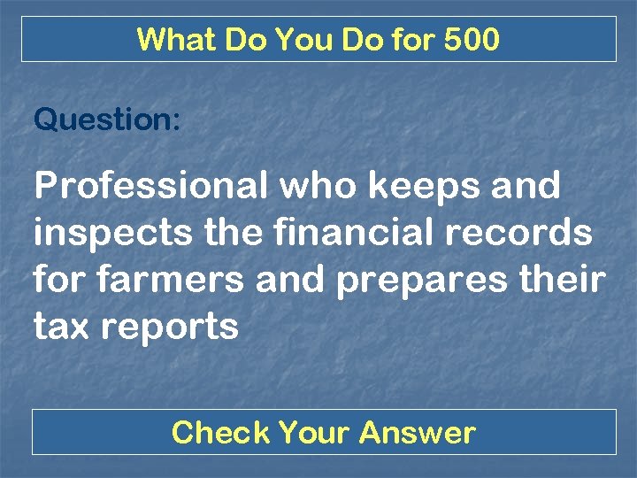 What Do You Do for 500 Question: Professional who keeps and inspects the financial