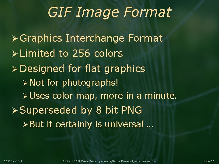 GIF Image Format Graphics Interchange Format Limited to 256 colors Designed for flat graphics