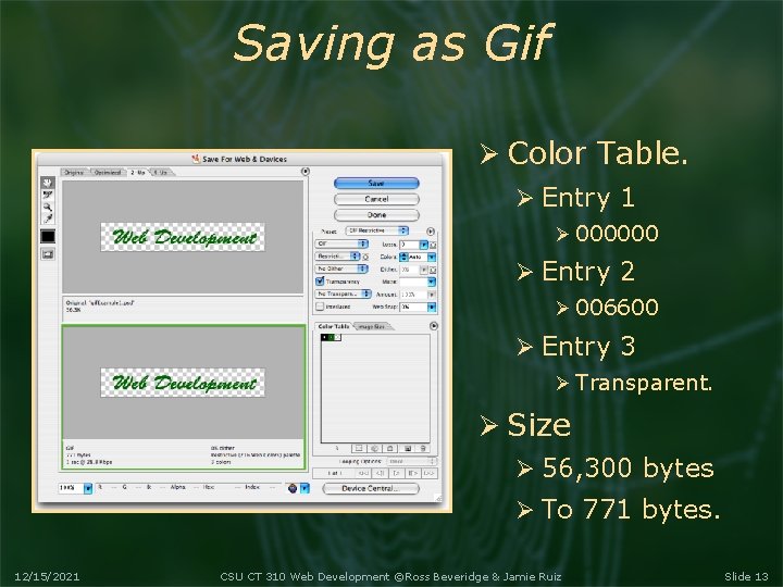 Saving as Gif Color Table. Entry 1 000000 Entry 2 006600 Entry 3 Transparent.