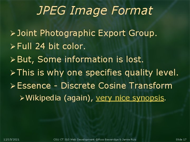 JPEG Image Format Joint Photographic Export Group. Full 24 bit color. But, Some information