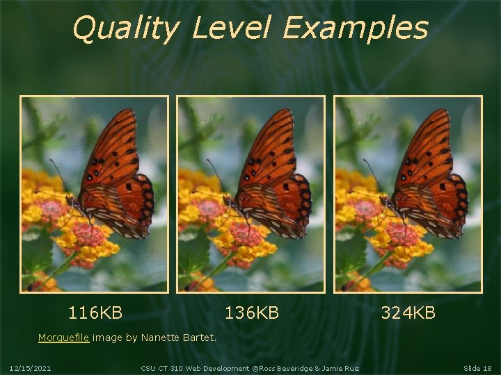 Quality Level Examples 116 KB 136 KB 324 KB Morguefile image by Nanette Bartet.