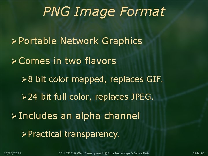 PNG Image Format Portable Network Graphics Comes in two flavors 8 bit color mapped,