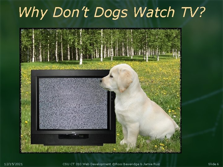 Why Don’t Dogs Watch TV? 12/15/2021 CSU CT 310 Web Development ©Ross Beveridge &