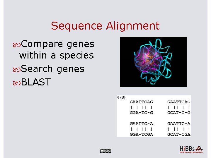 Sequence Alignment Compare genes within a species Search genes BLAST 